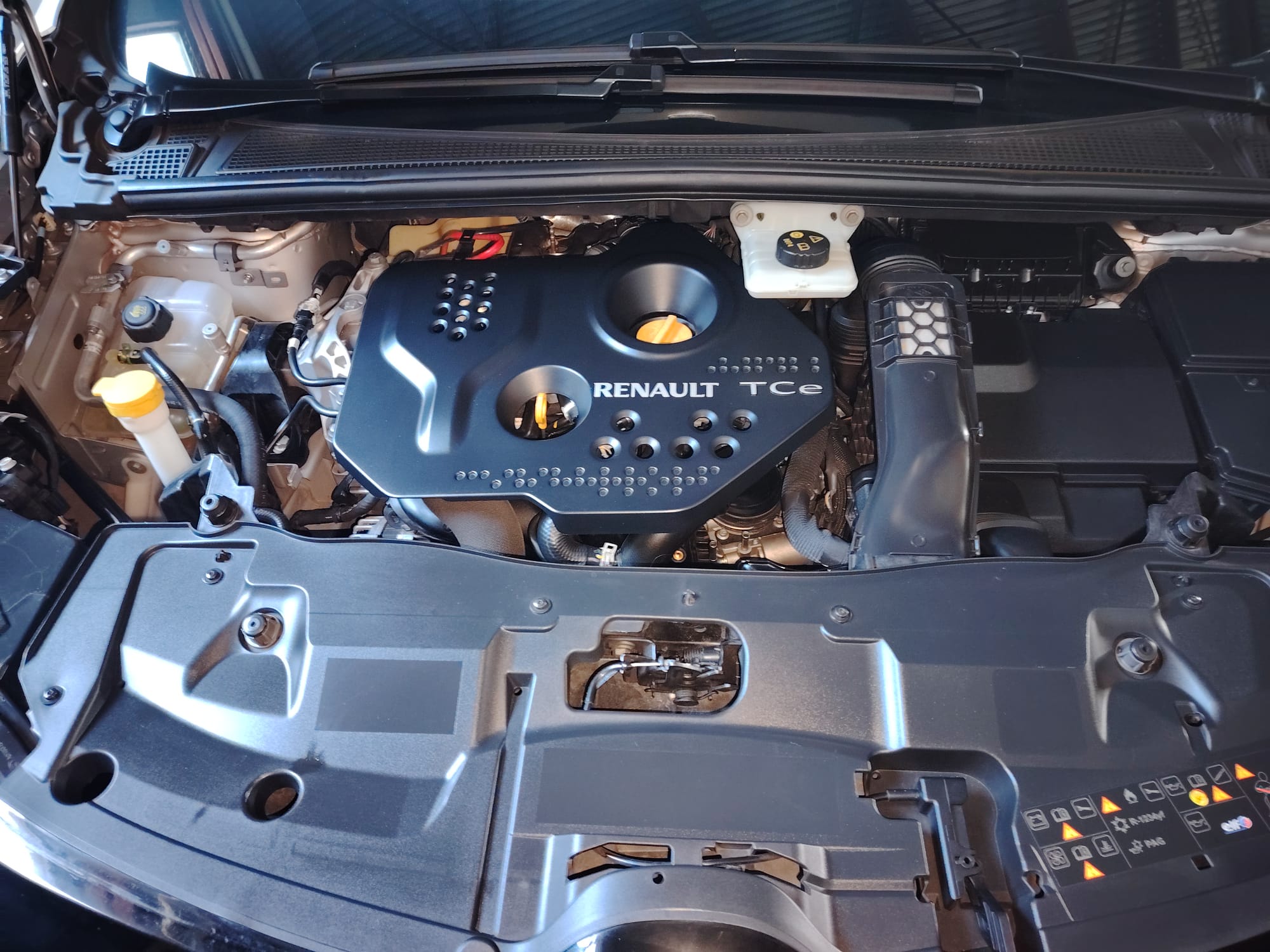 Motor